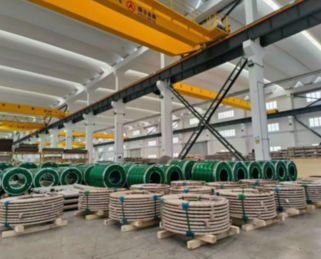Professional Logistics & Packaging